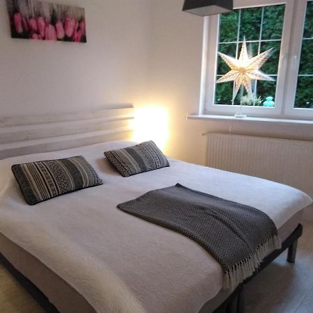 Mizerowka Guest House Кудова-Здруй Екстер'єр фото