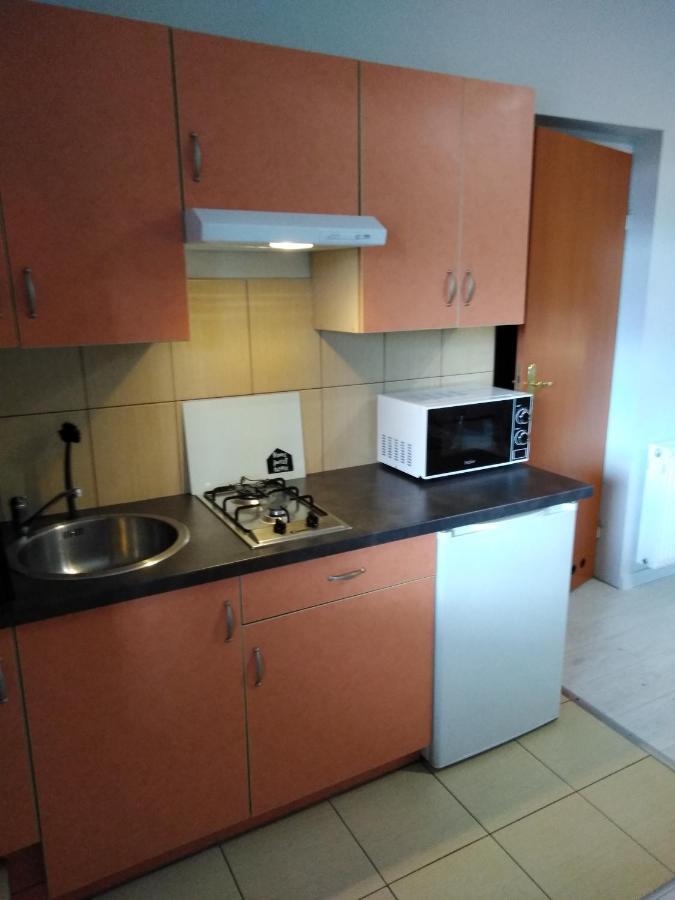 Mizerowka Guest House Кудова-Здруй Екстер'єр фото