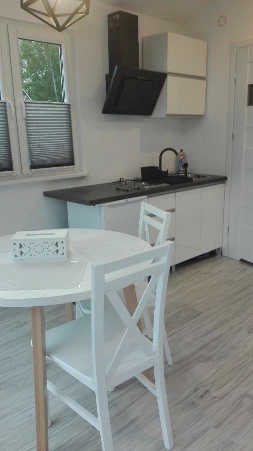 Mizerowka Guest House Кудова-Здруй Екстер'єр фото